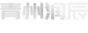 青州潤(rùn)辰制動(dòng)系統(tǒng)有限公司logo